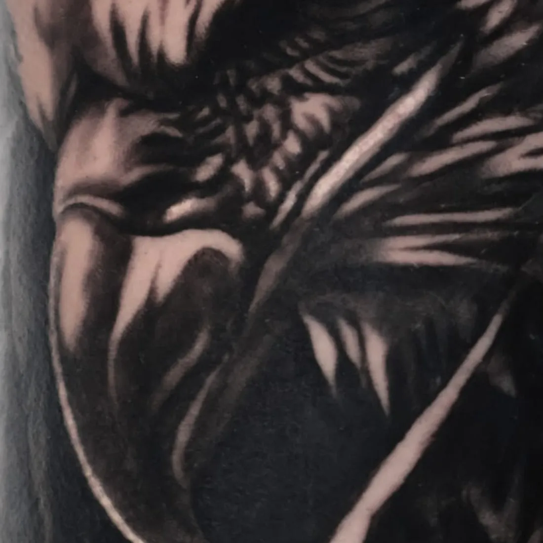 Eagle: the beak, shaded in deep blacks